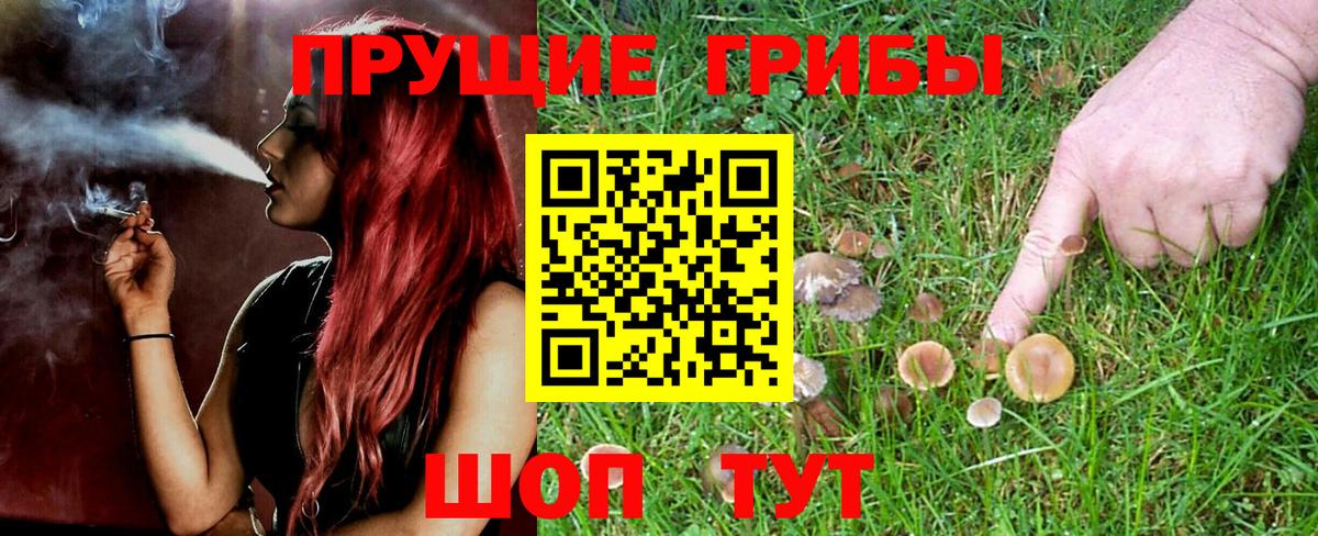 Псилоцибиновые грибы GOLDEN TEACHER Ишим