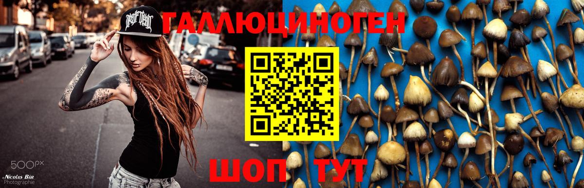 Мефедрон кристаллы  COCAIN  Ишим  ГАШ  Конопля  Вход с VPN  A PVP СОЛЬ   АМФ  