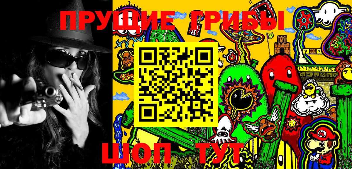 Ишим  купить закладку  Вход с VPN  Псилоцибиновые грибы Psilocybe 