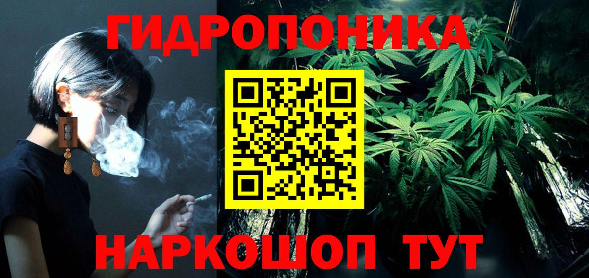 Канабис гибрид Ишим